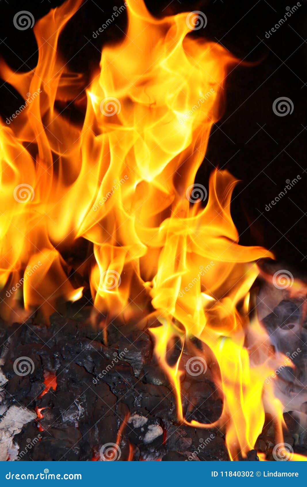 Coal fire flames stock photo. Image of burn, colour, flame 11840302