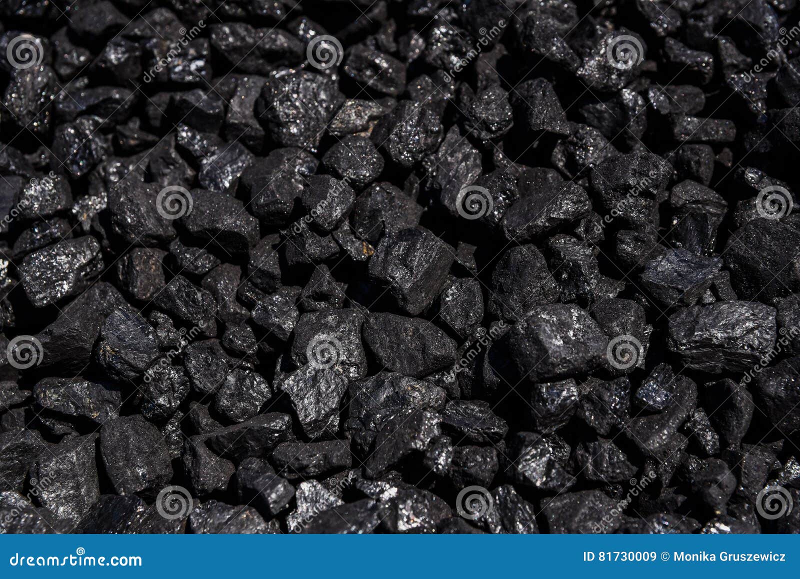 Coal for sale. stock image. Image of black, fuel, global 81730009
