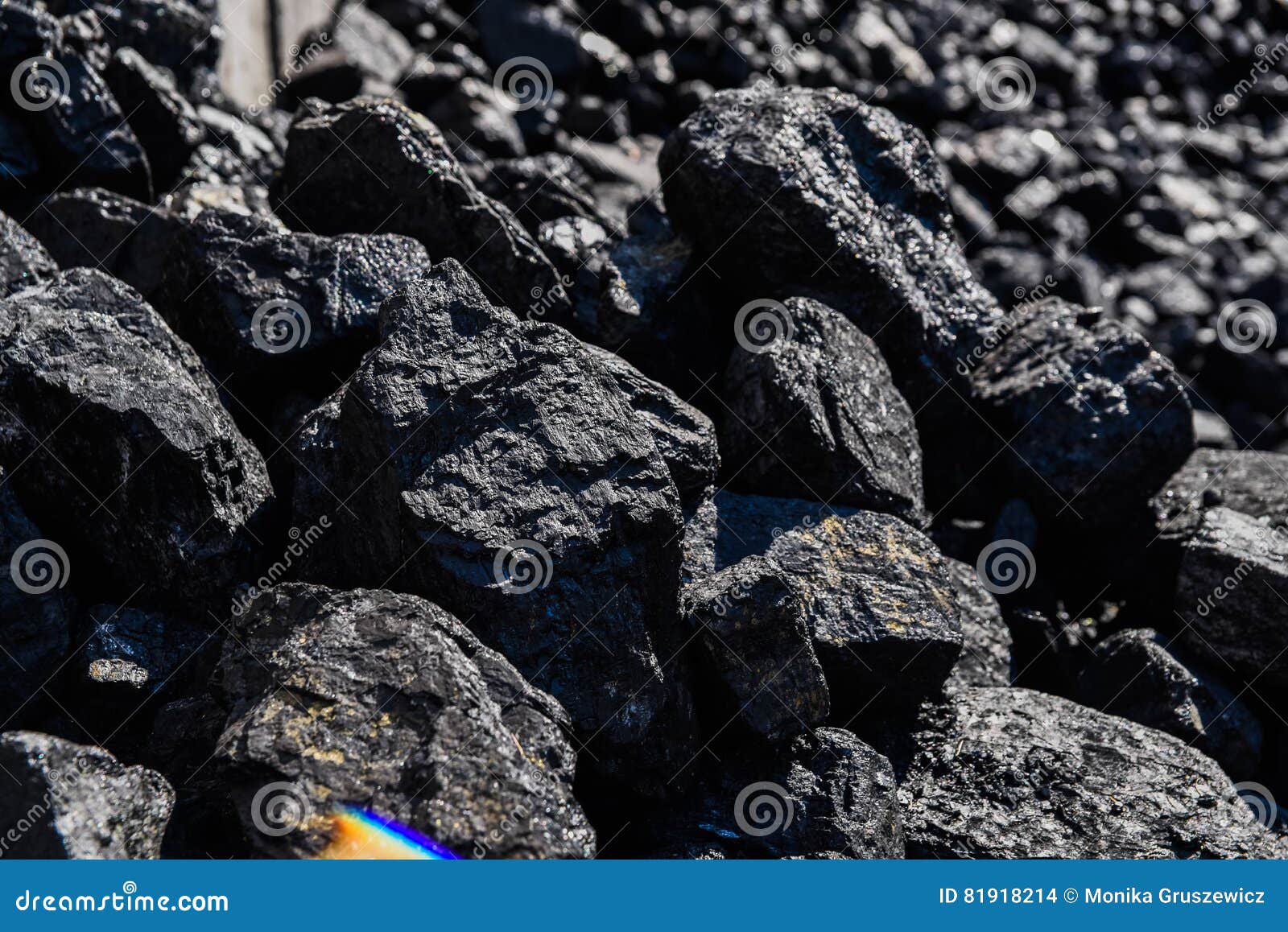 Coal for sale. stock photo. Image of pieces, winter, clearance 81918214