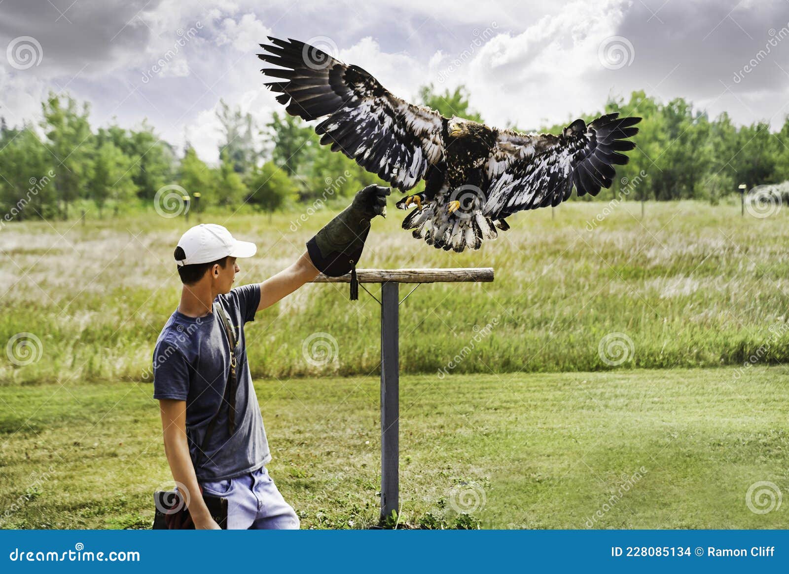 Alberta Birds of Prey Centre, Coaldale, Alberta