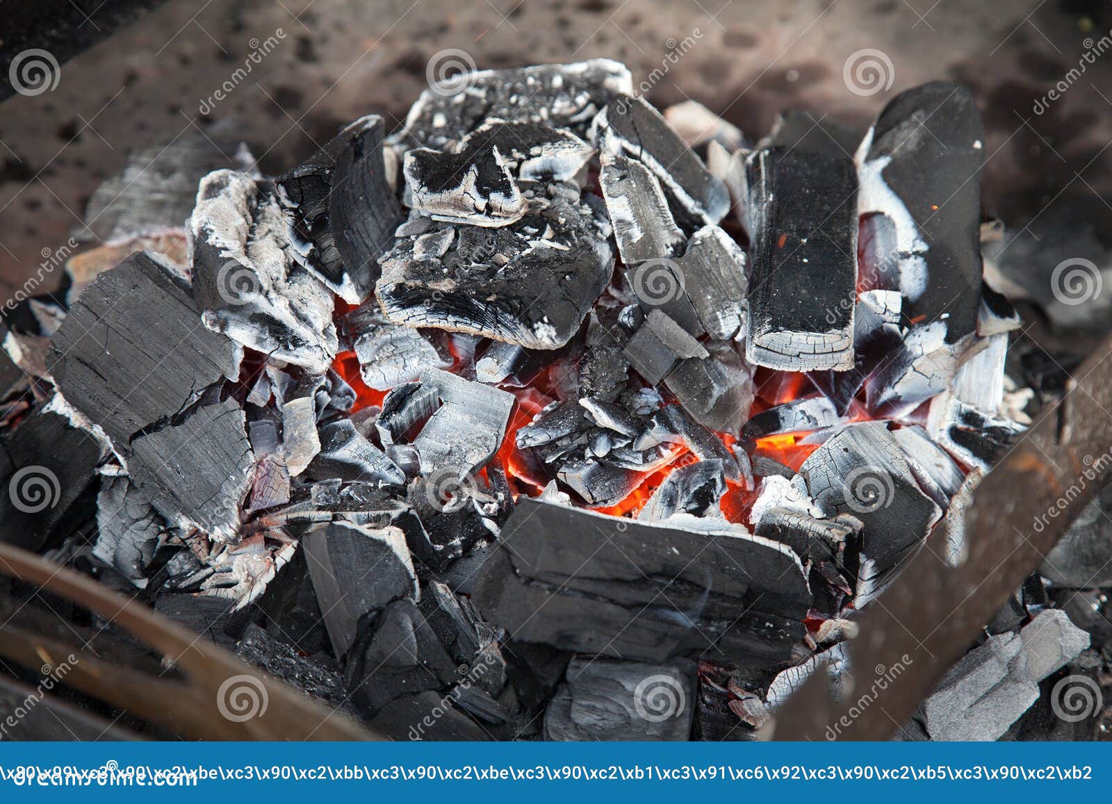 Coals in Barbecue on the Nature Stock Image Image of flammable, coal