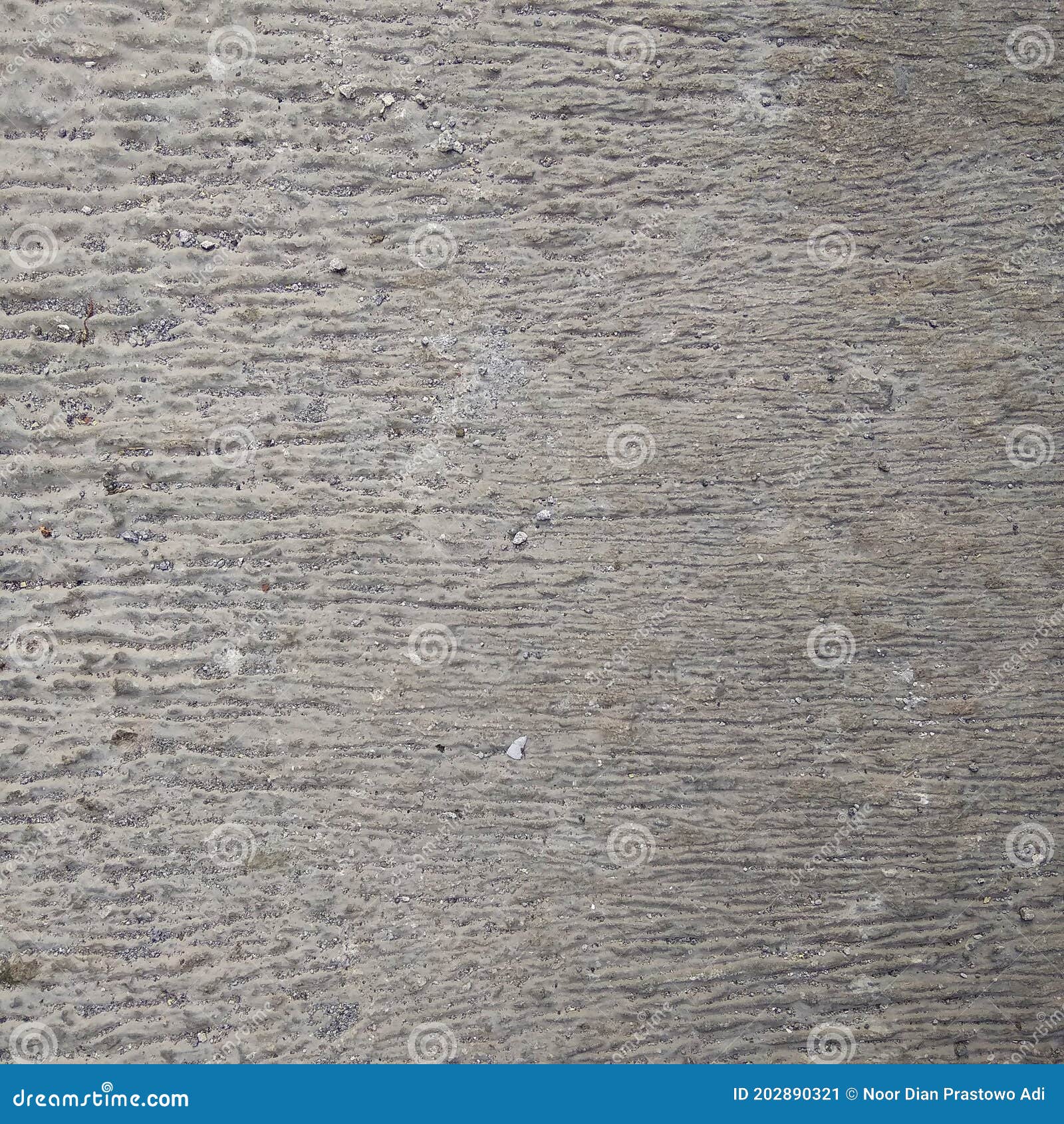 Coarse Textured Cement Floor Stock Image Image of abstract, cement