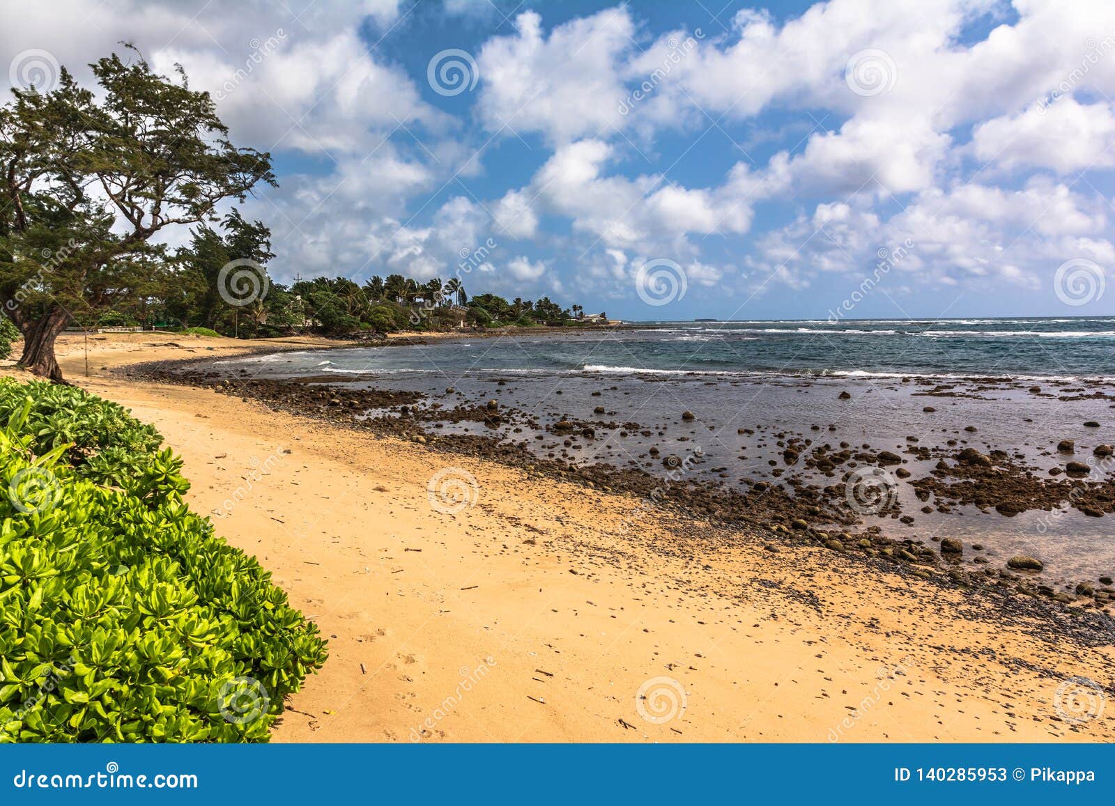 the coast along punaluu beach park, oahu, hawaii