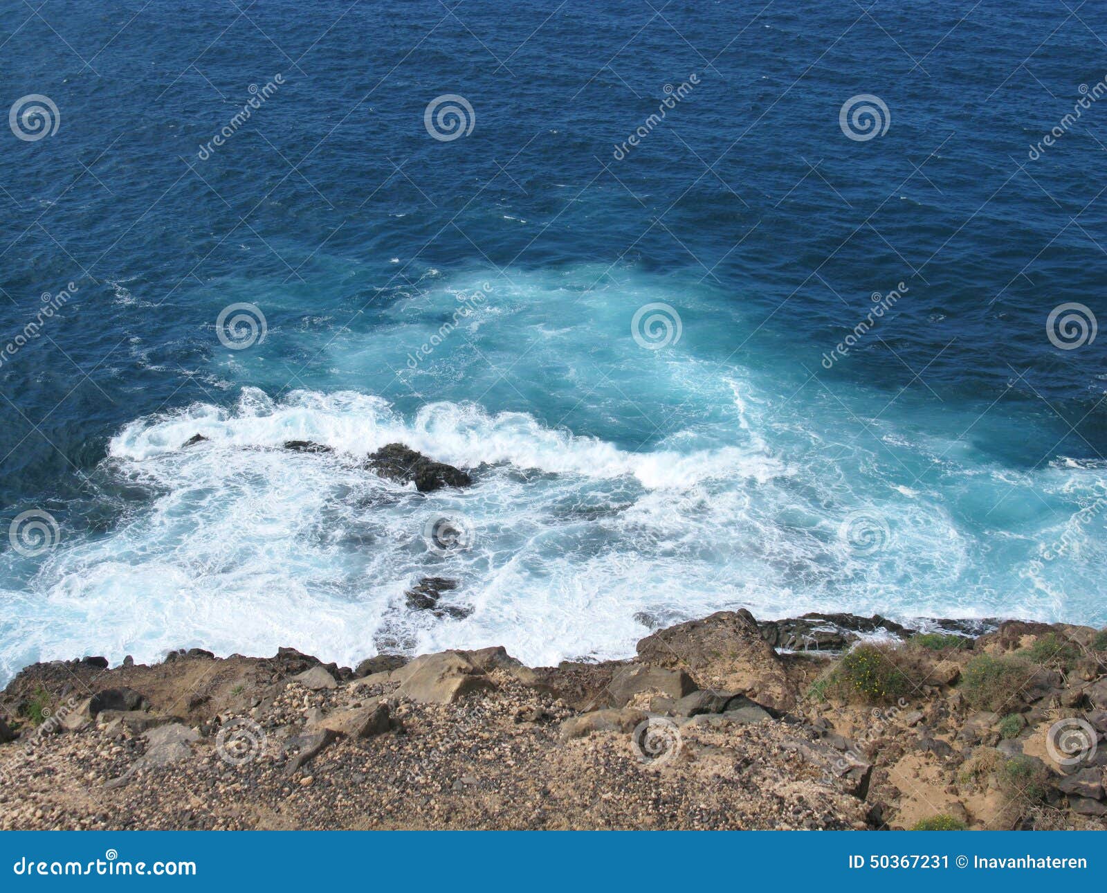 the coast of the atlantic ocean of fuerteventura