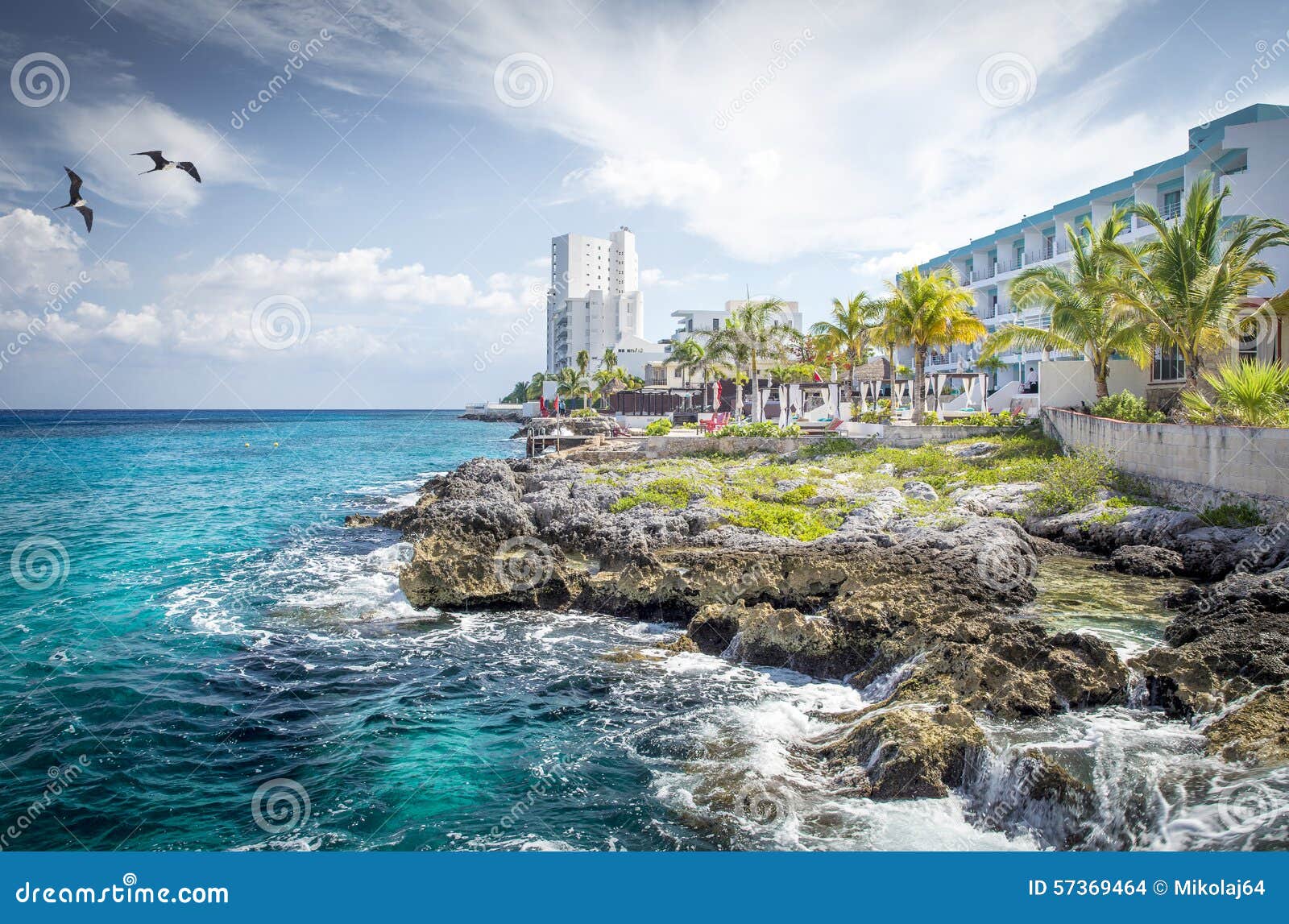 coast of cozumel island