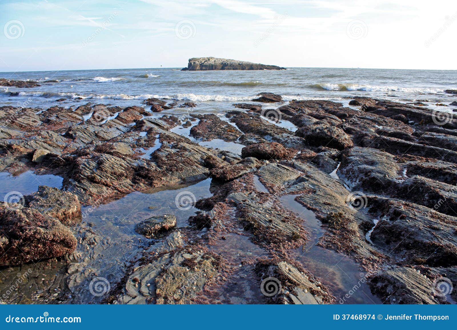 Coast of Torquay stock photo. Image of weather, waves 37468974