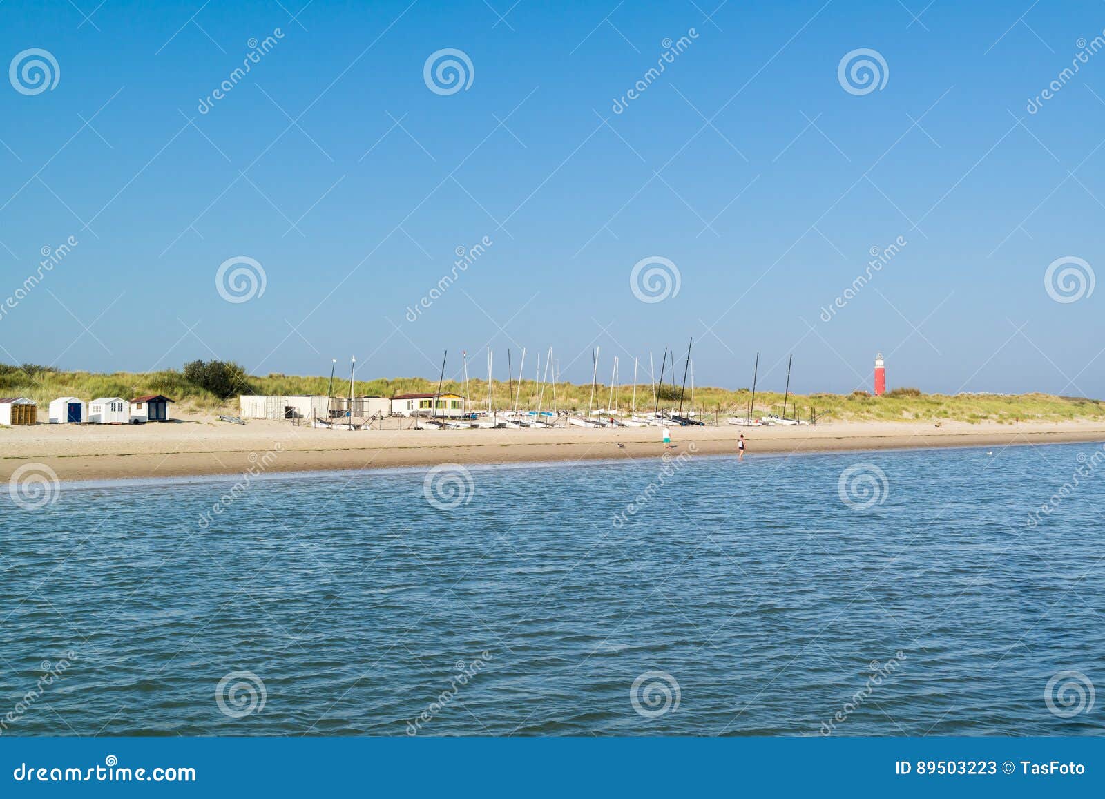 coast of waddensea island texel, netherlands