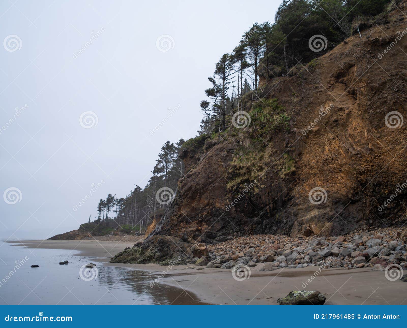 Coast of Washington State or Oregon with Cliffs and the Pacific