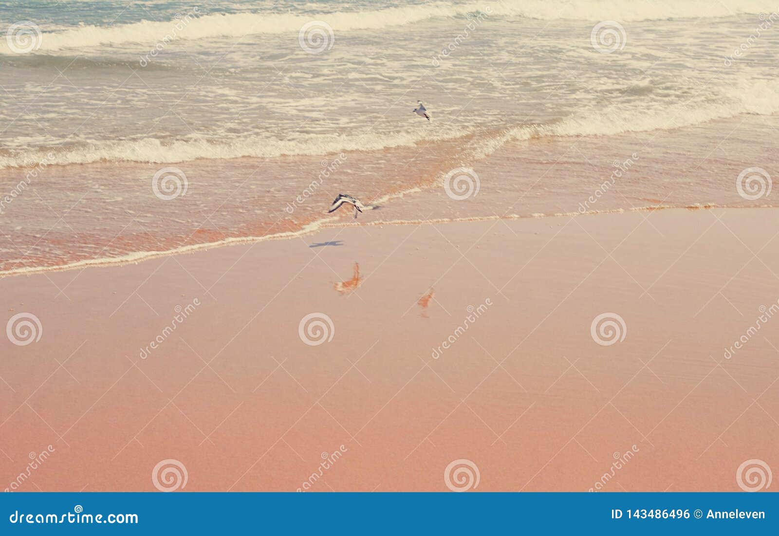 Atlantic Ocean Coast In Europe Stock Photo - Image of luxury, horizon: 143486496
