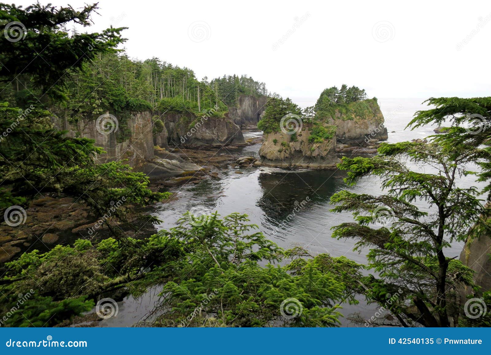 Coastal Cliffs in Washington State Stock Image Image of cliffs, green 42540135