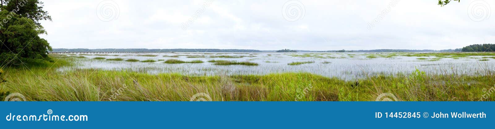 coastal estuary