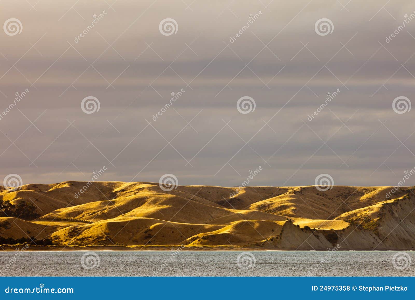 Coastal Grassland Dry and Yellow from Drought, NZ Stock Photo Image
