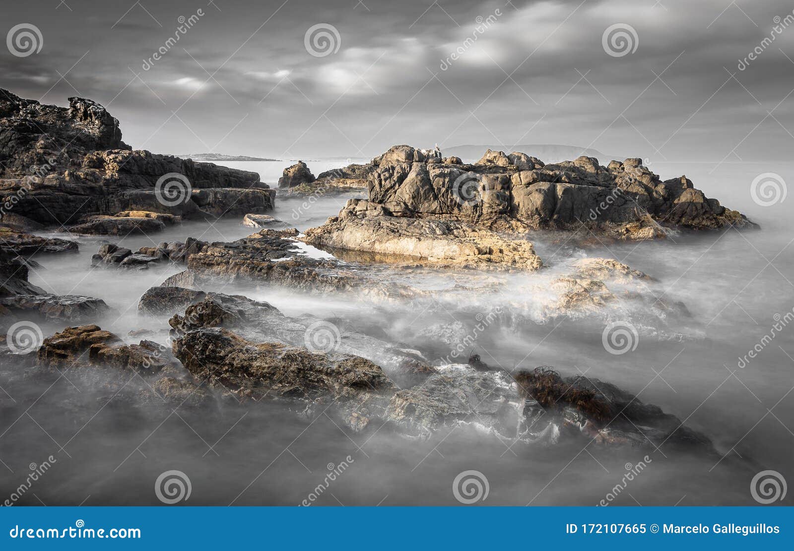 coastal haze on the rocks of the coastal edge of atacama