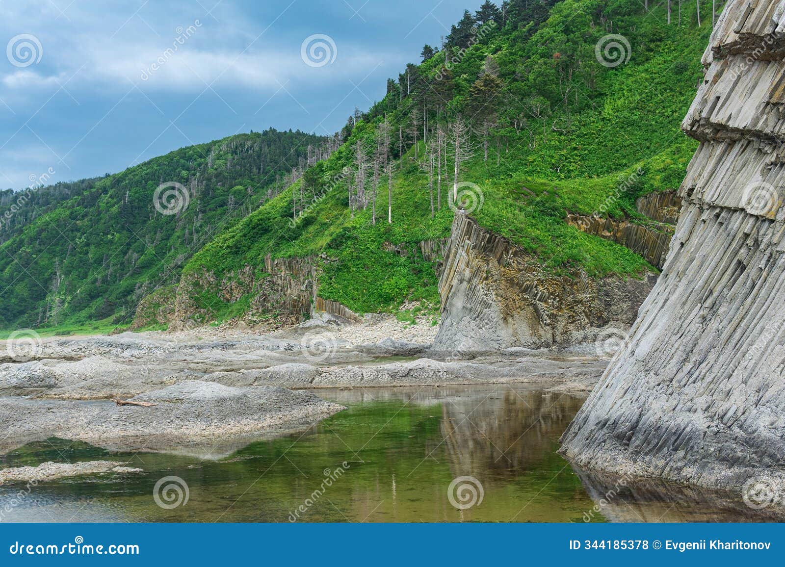 coastal landscape, beautiful wooded rocks on the green coast of kunashir island