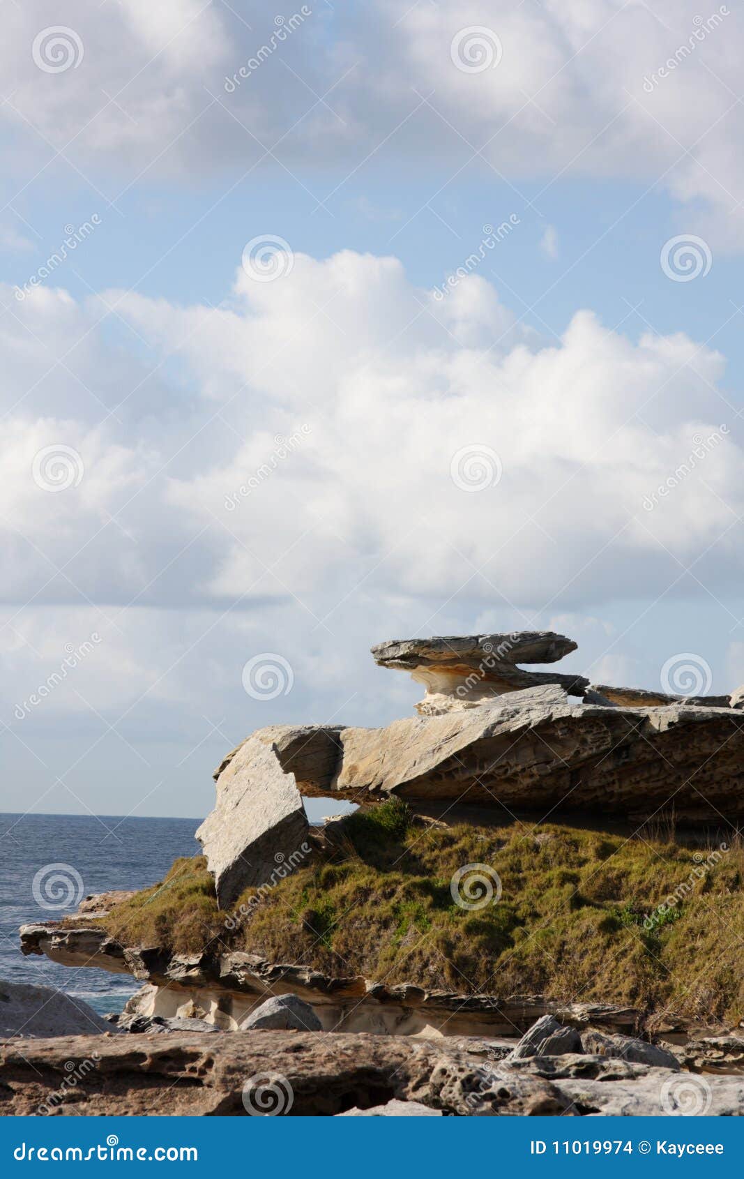 coastal rock outcrop