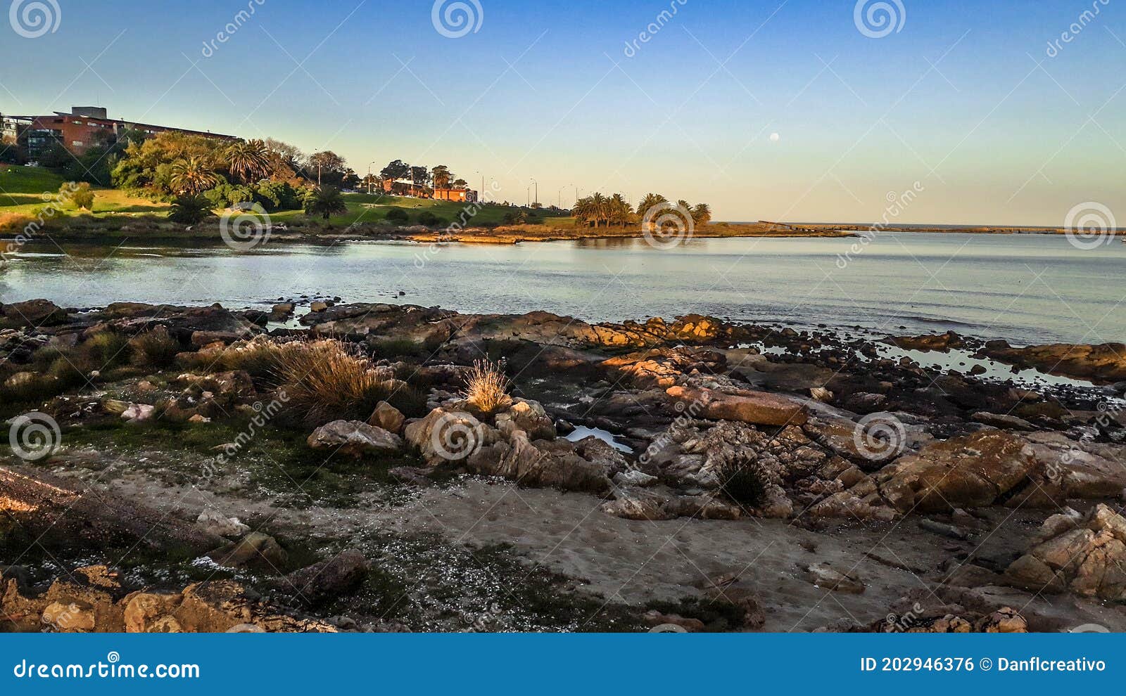 coastal scene buceo beach, montevideo uruguay