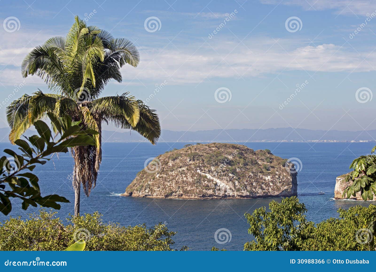 coastal scenic with islet