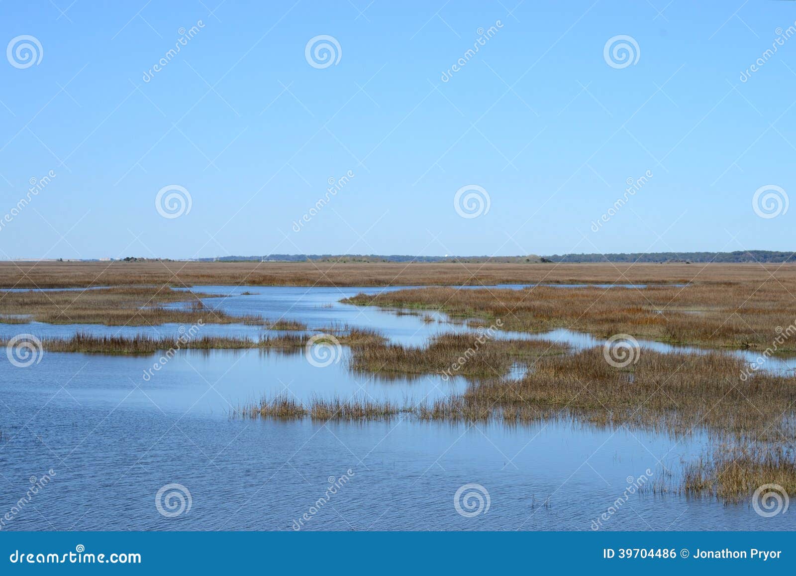 coastal wetlands near a southern coastal island