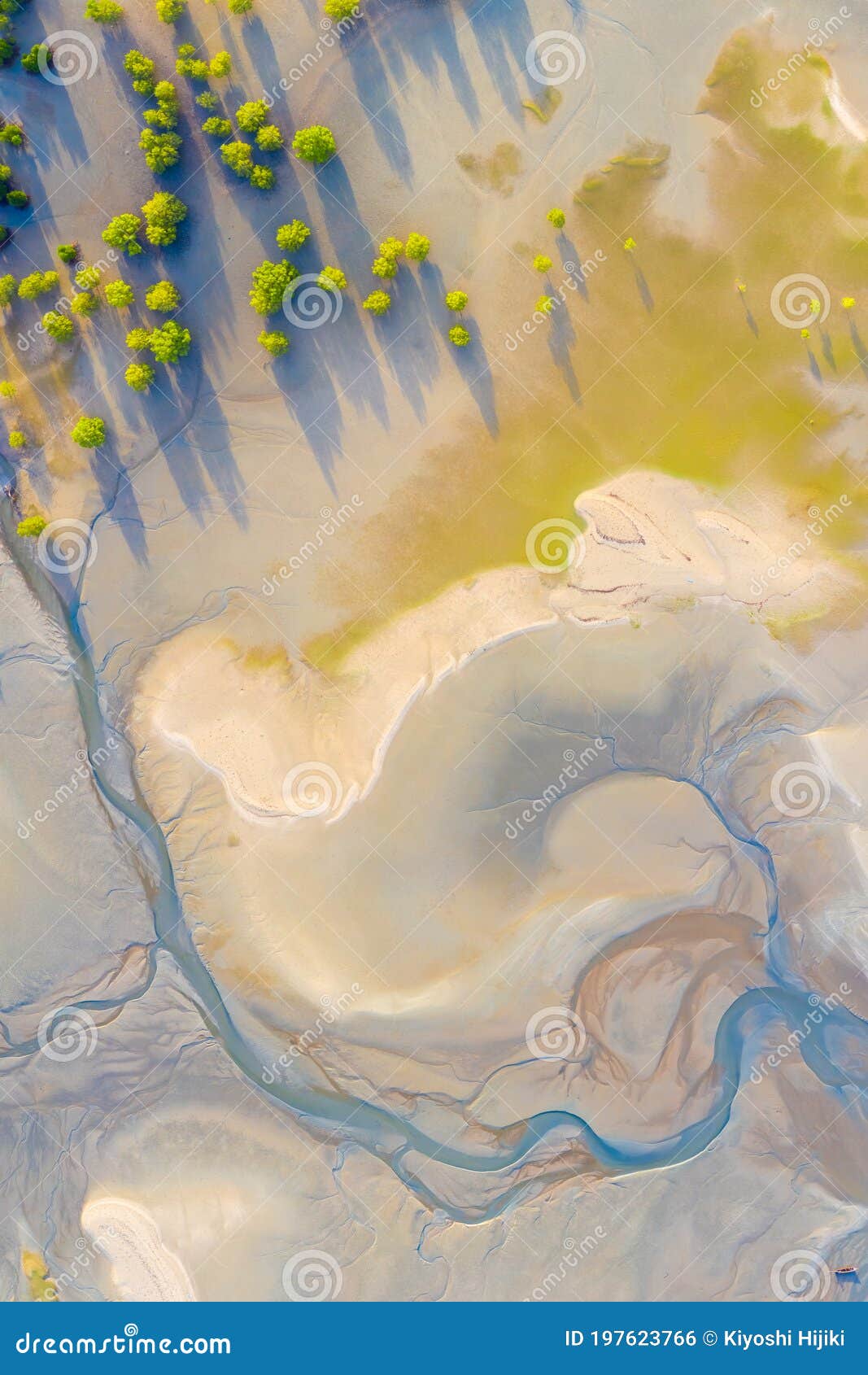 coastline natural  texture when low tide