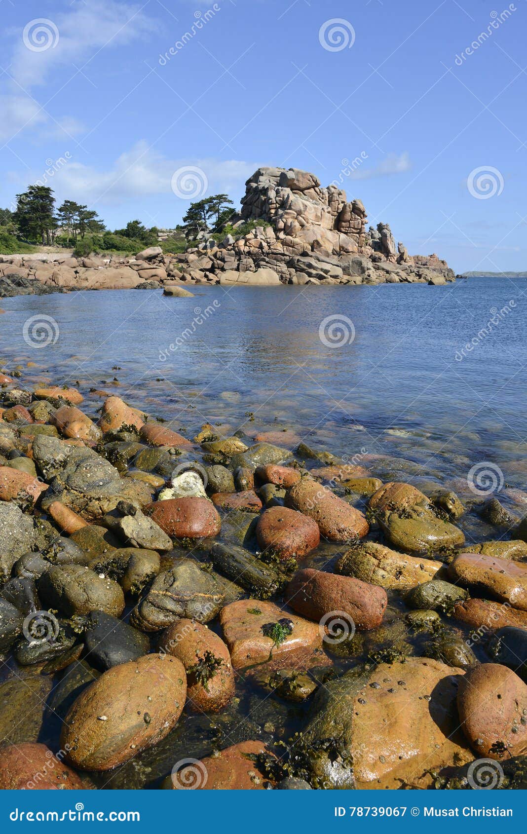 coastline of ploumanac'h in france