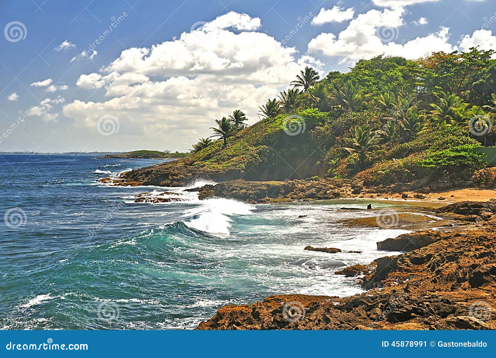 coastline, puerto rico