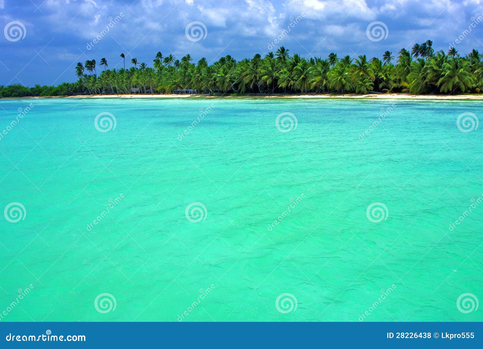 coastline in republica dominicana