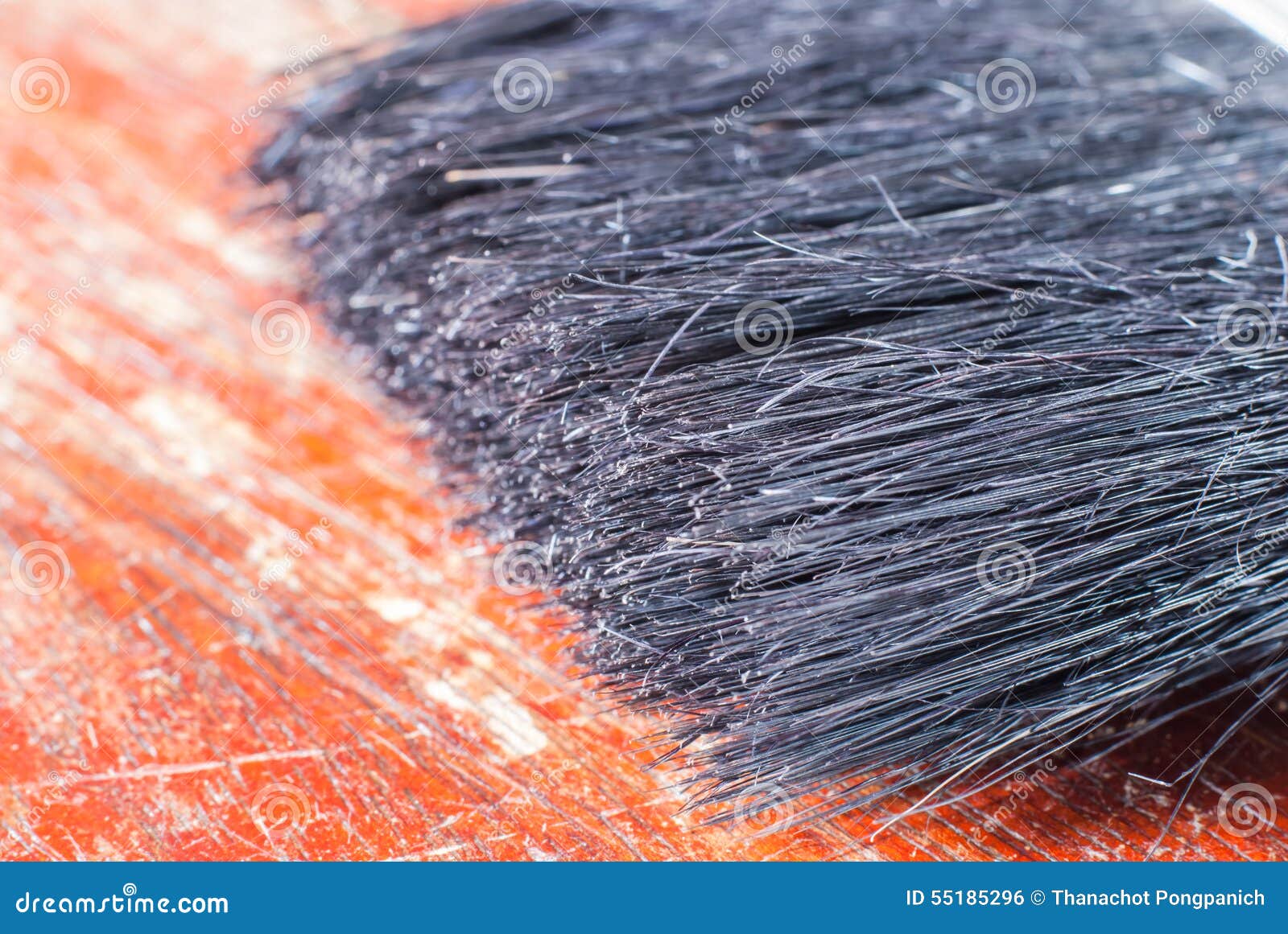 Coating brush nap stock photo. Image of colors, coating 55185296