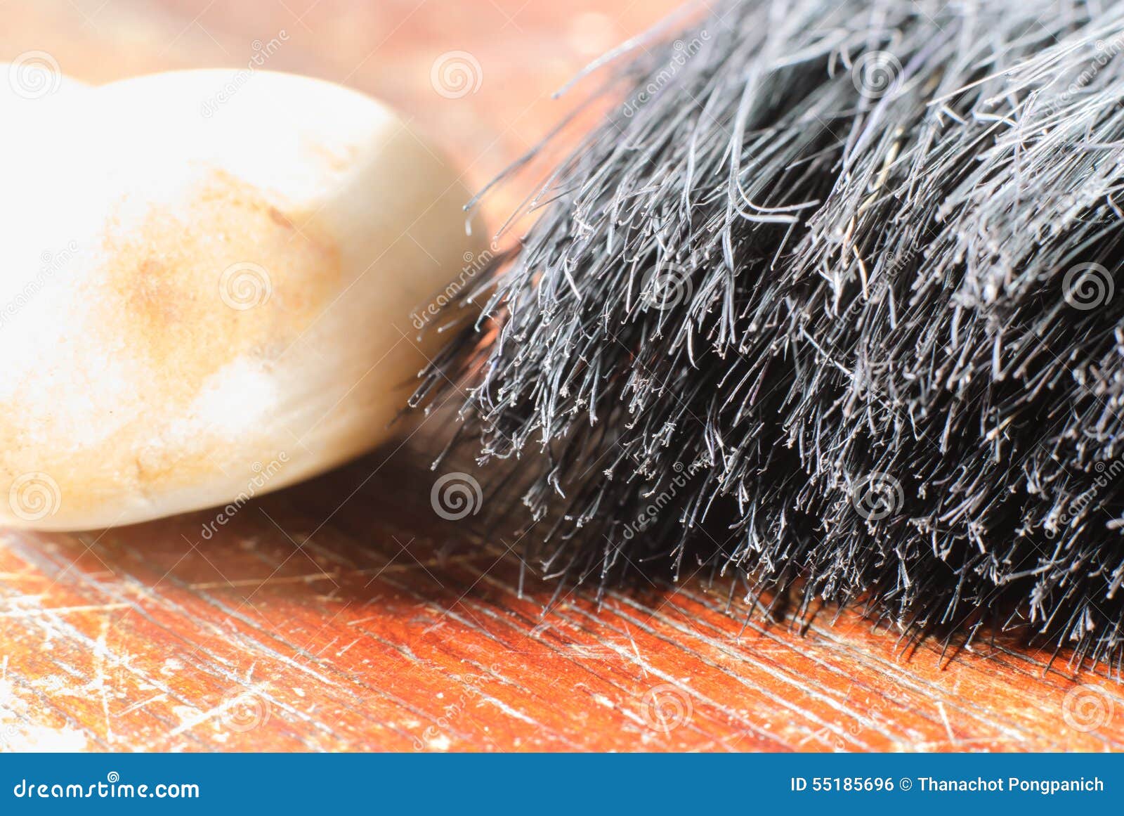 Coating brush nap stock photo. Image of craft, brushing 55185696