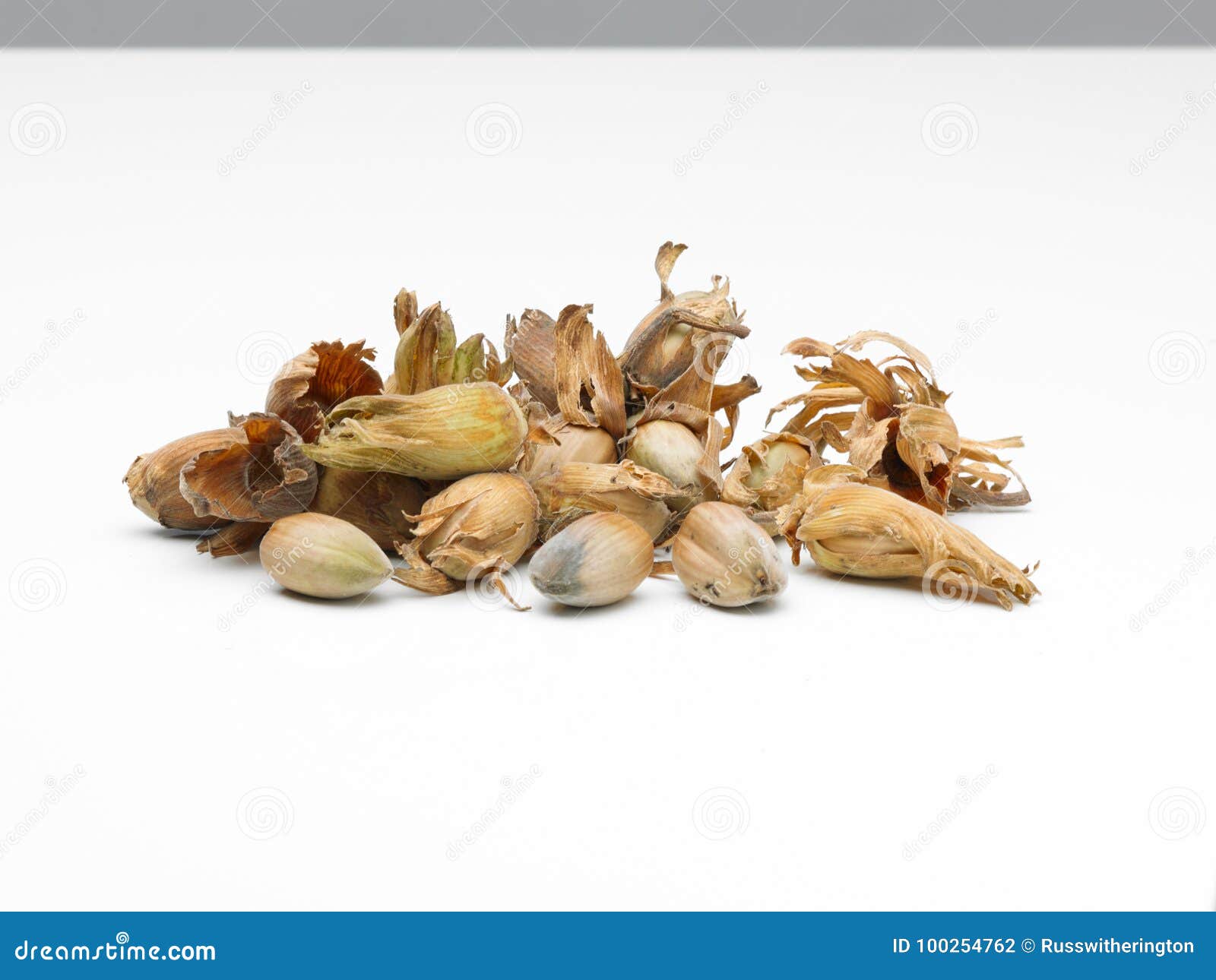 Cob Nuts stock photo. Image of kernel, fresh, ingredient 100254762