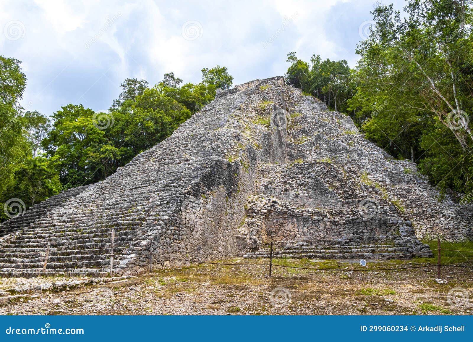 coba maya ruins nohoch mul pyramid in tropical jungle mexico