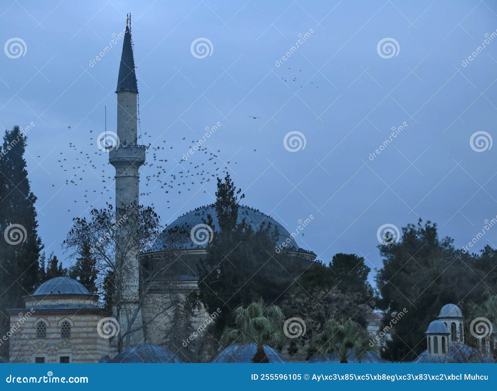 coban mustafa pasha mosque and birds