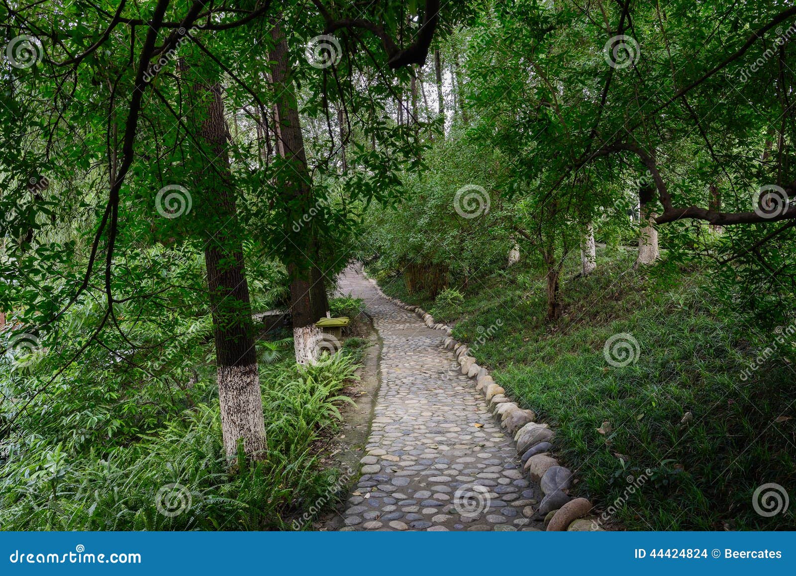 cobble stone path in luxuriant summer woods