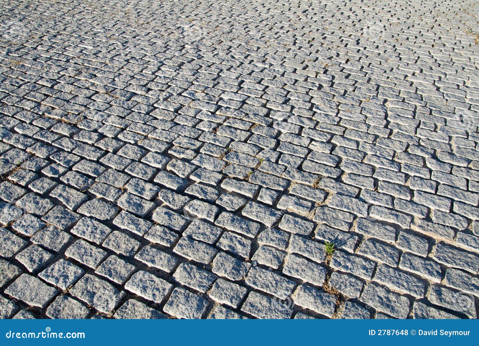 Echoes From a Cobbled Street by David Hayes Echoes From a Cobbled Street by David Hayes