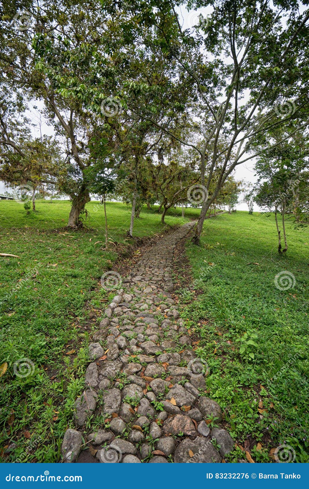 cobblestone path