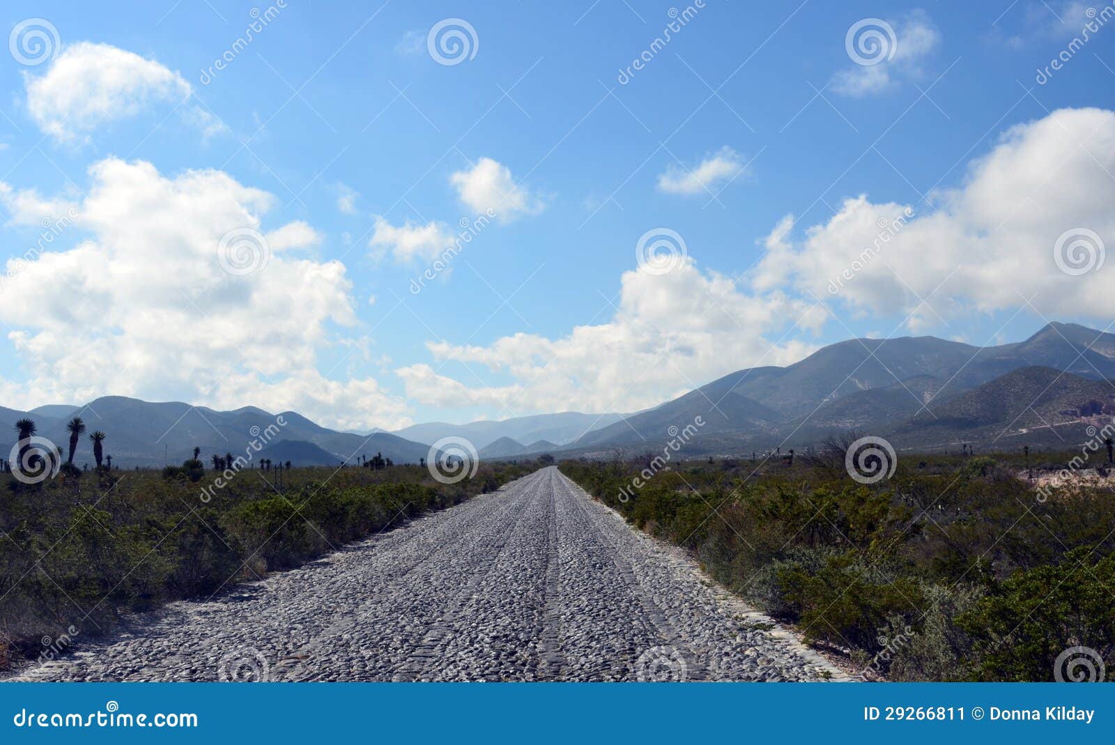 cobblestone road in mexico