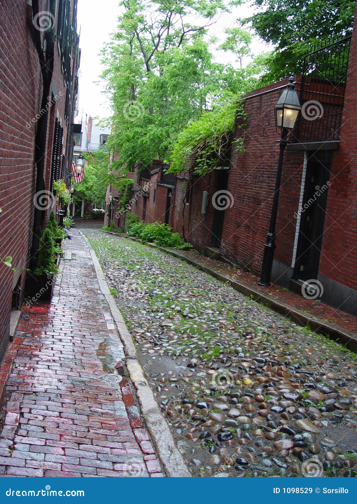 cobblestone street on beacon hill