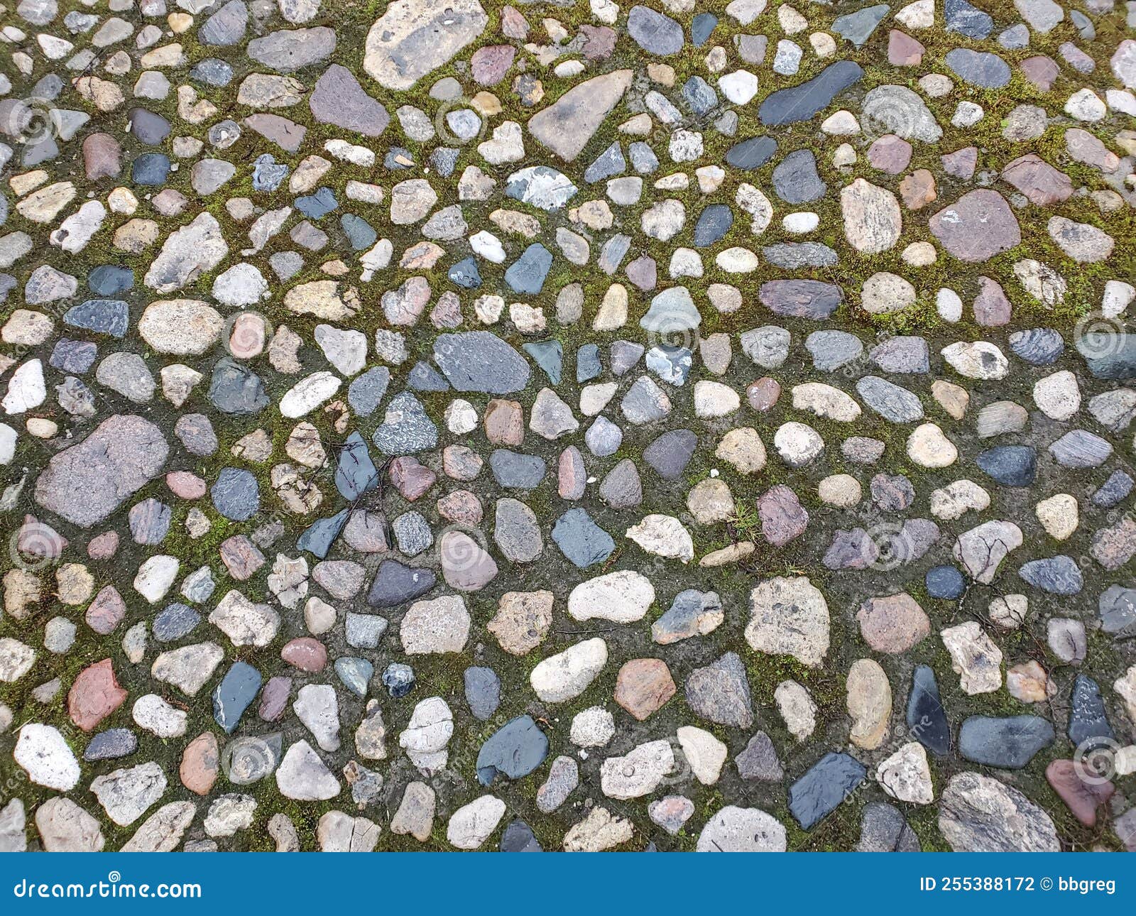 Cobblestone Street with Grass between the Stones, Multi-colored