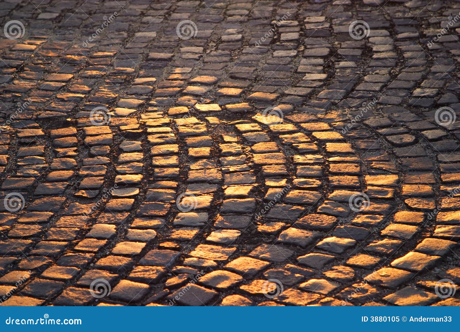Cobblestones do castelo de Buda. O sol da noite reflete fora dos cobblestones no castelo de Buda, Hungria.