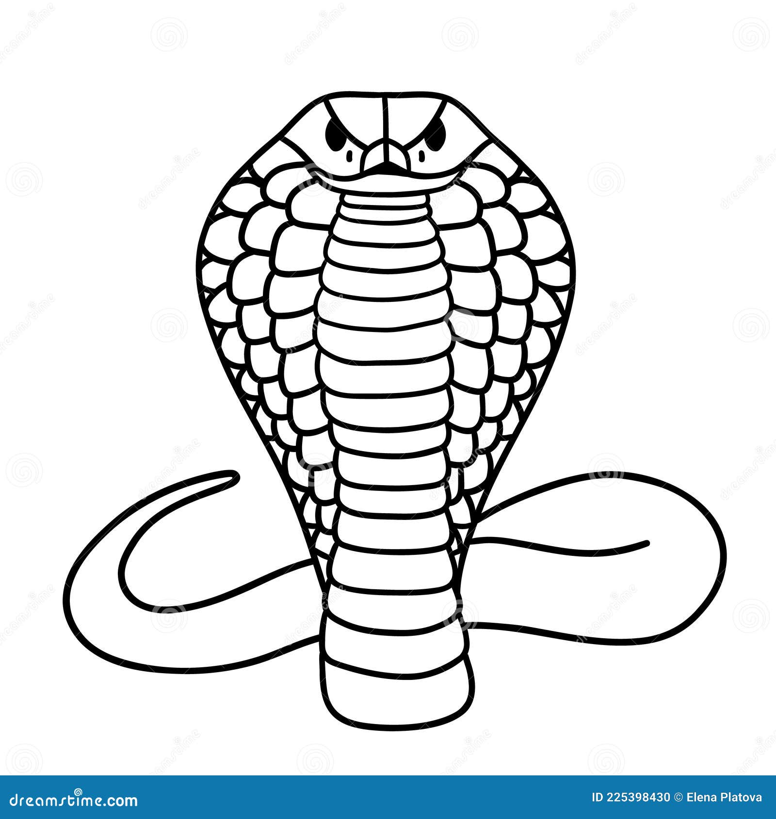 Desenho De Desenho Cobra Em Preto E Branco PNG , Desenho De Carro