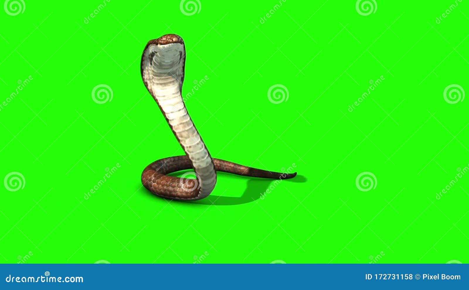 Um jogo de cobra clássico Canvas elemento Android, cobra, animais