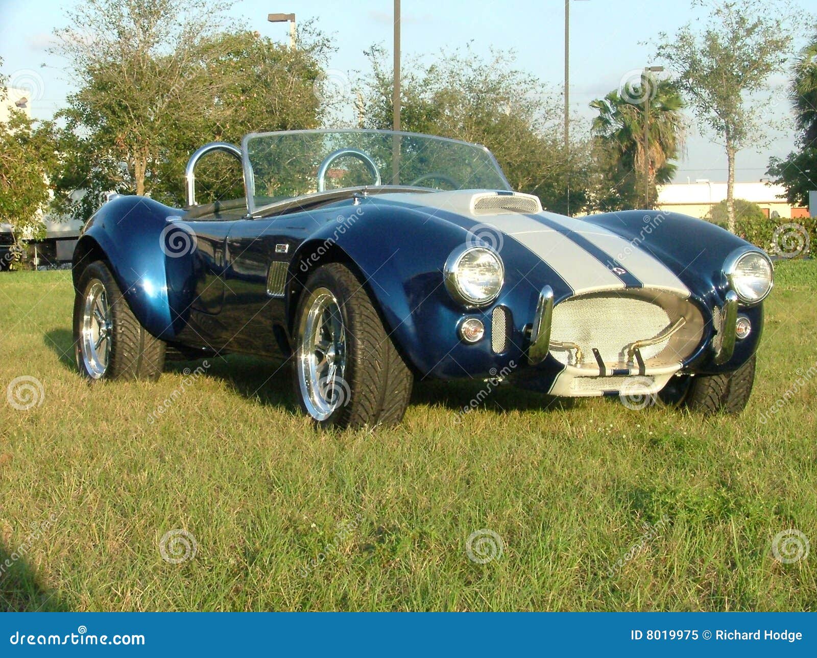 Cobra Car - Classic stock image. Image of collectable - 8019975