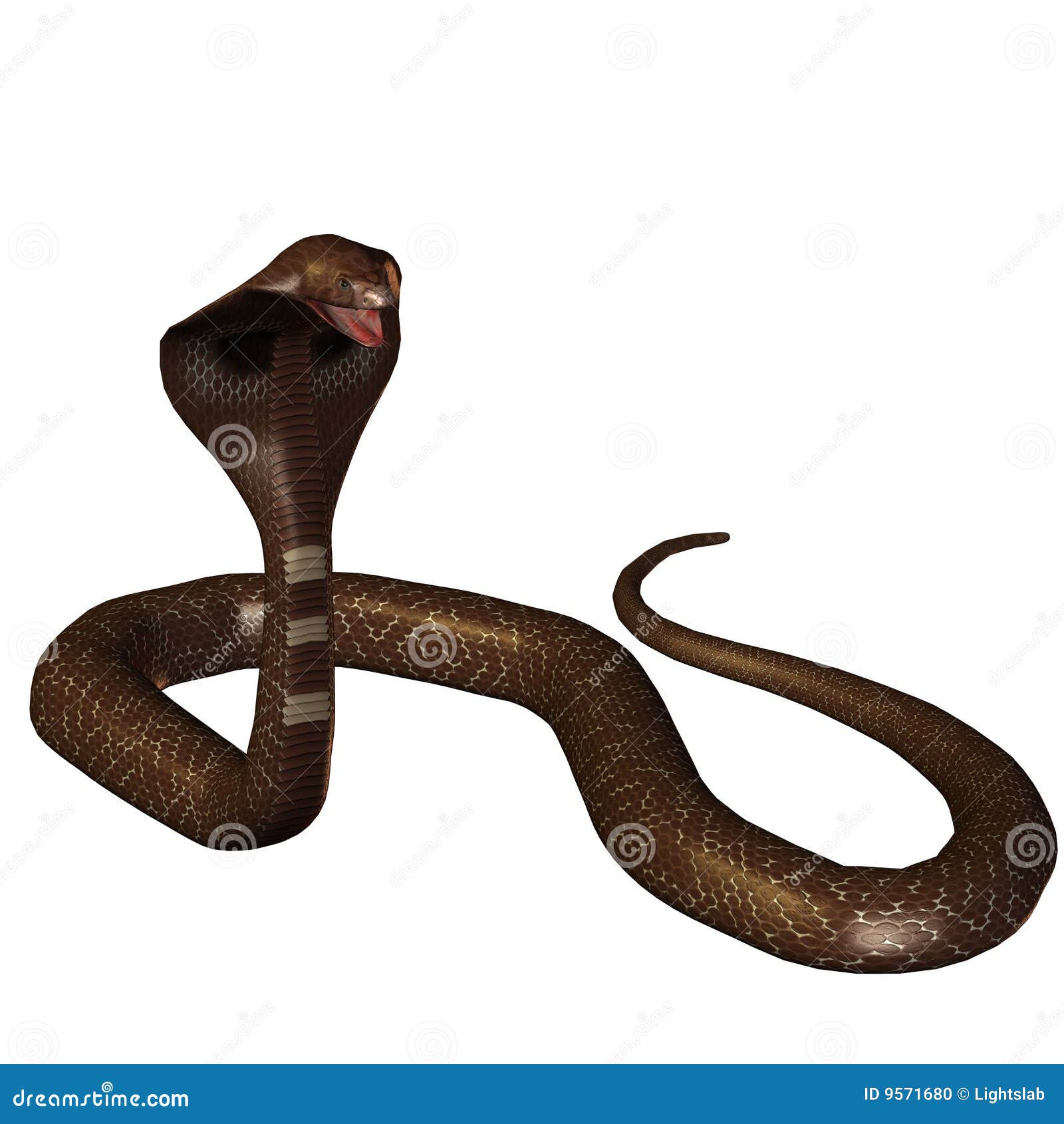 Cobra Da Serpente 3D Isolada Em Um Branco Ilustração Stock