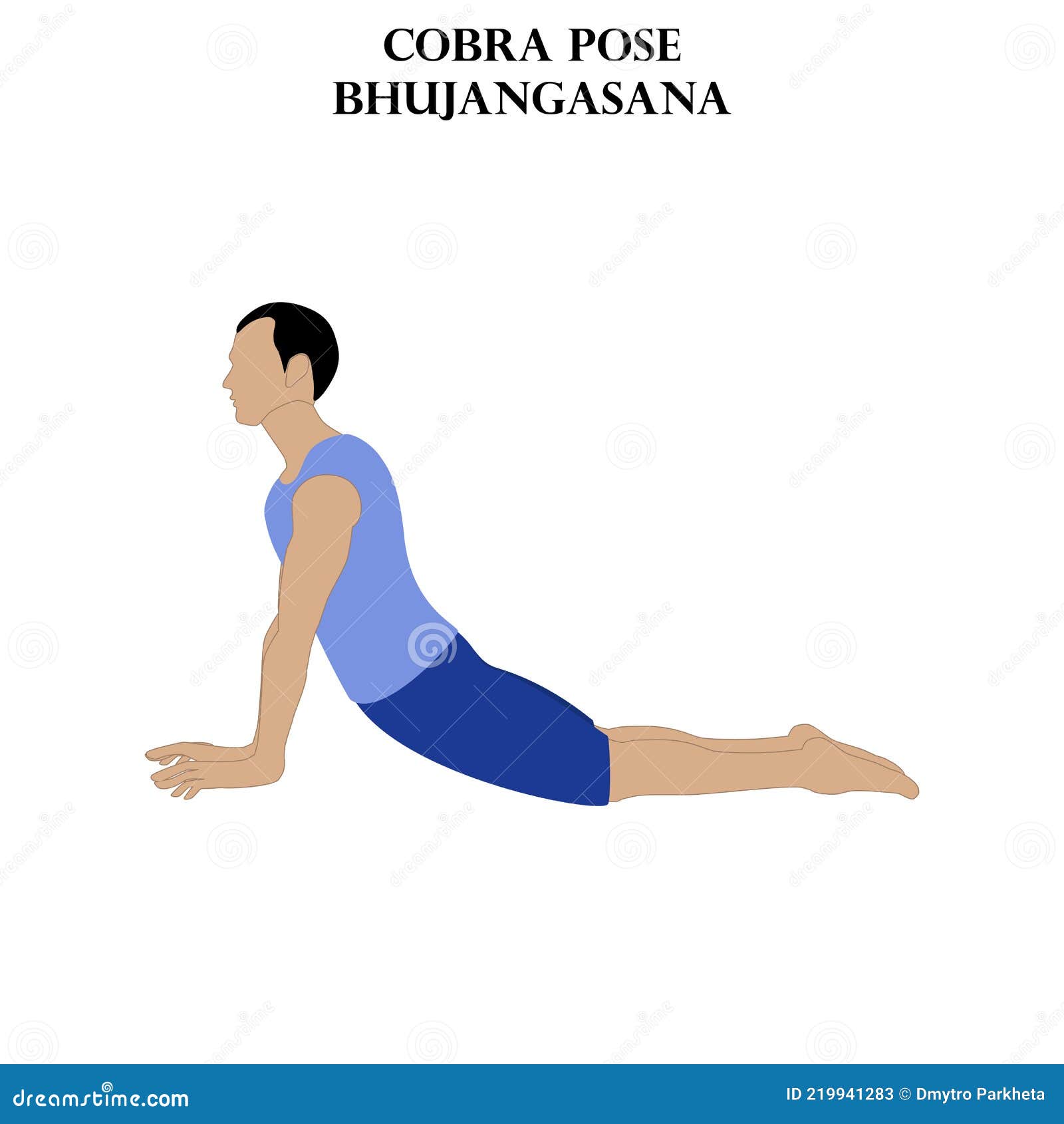 Cobra Pose Yoga Workout. Bhujangasana Stock Vector - Illustration of  equipment, fitness: 219941283