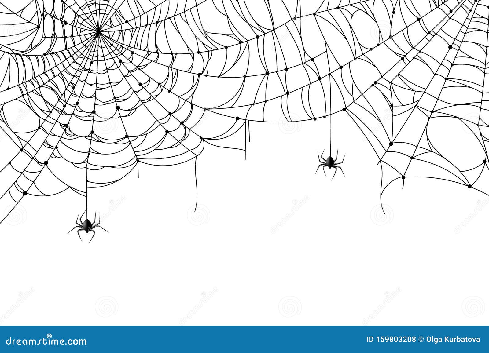 cobweb background. scary spider web with spooky spider, creepy arthropod halloween decor, net texture tattoo 