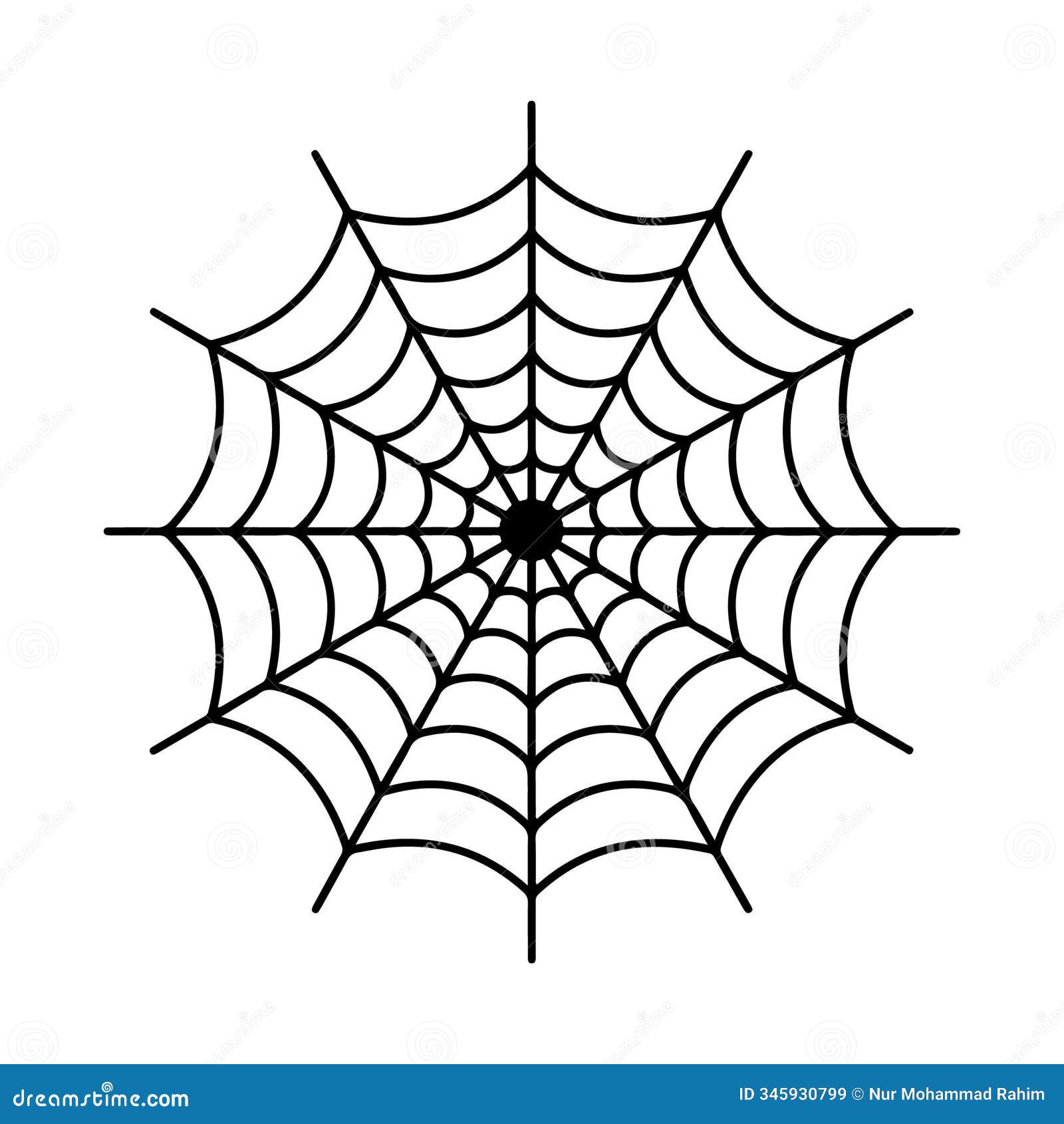 cobweb , spider web , spider net 