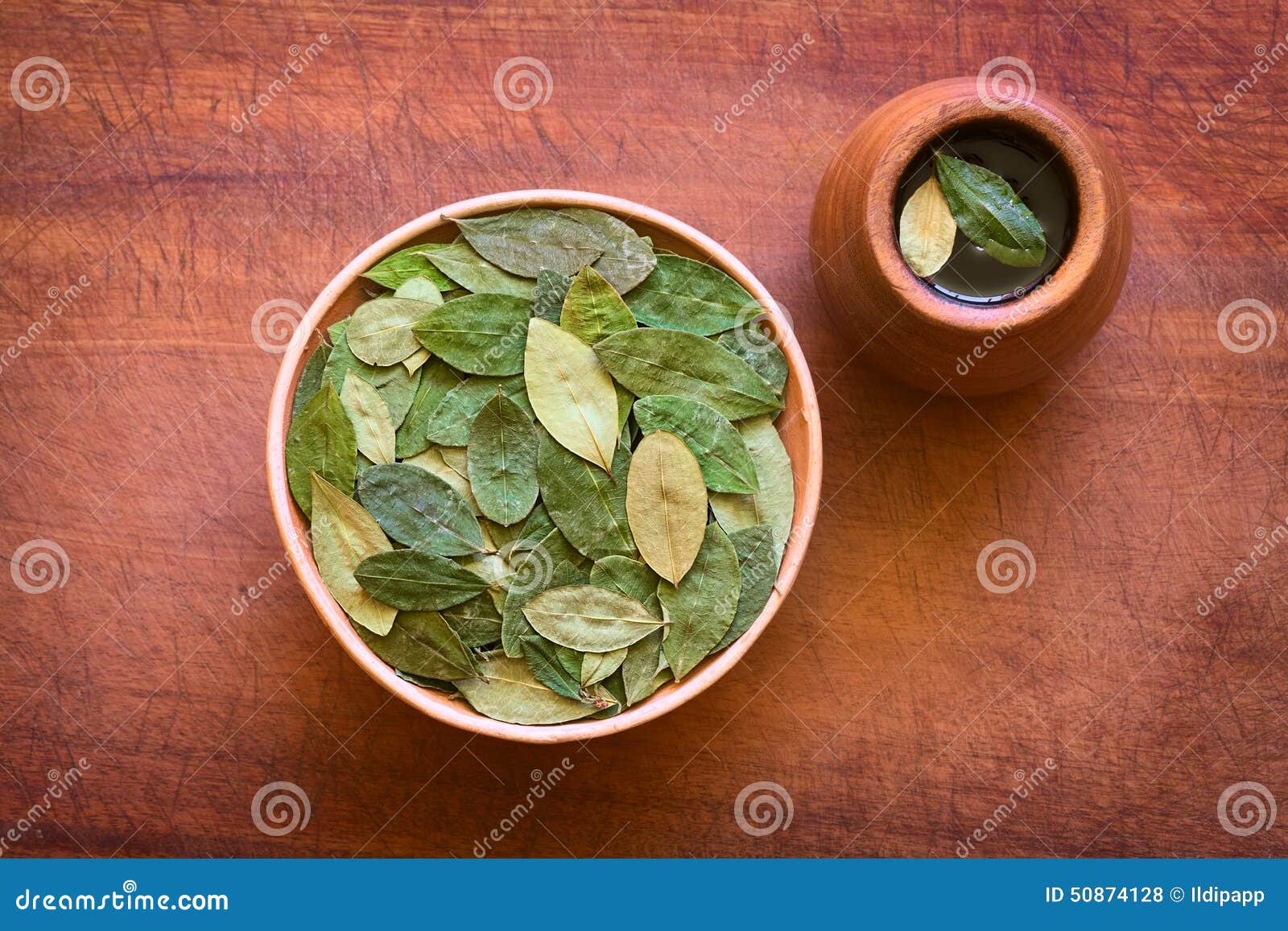 Coca Leaves E Coca Tea Secche Fotografia Stock Immagine di fogli, colpo 50874128