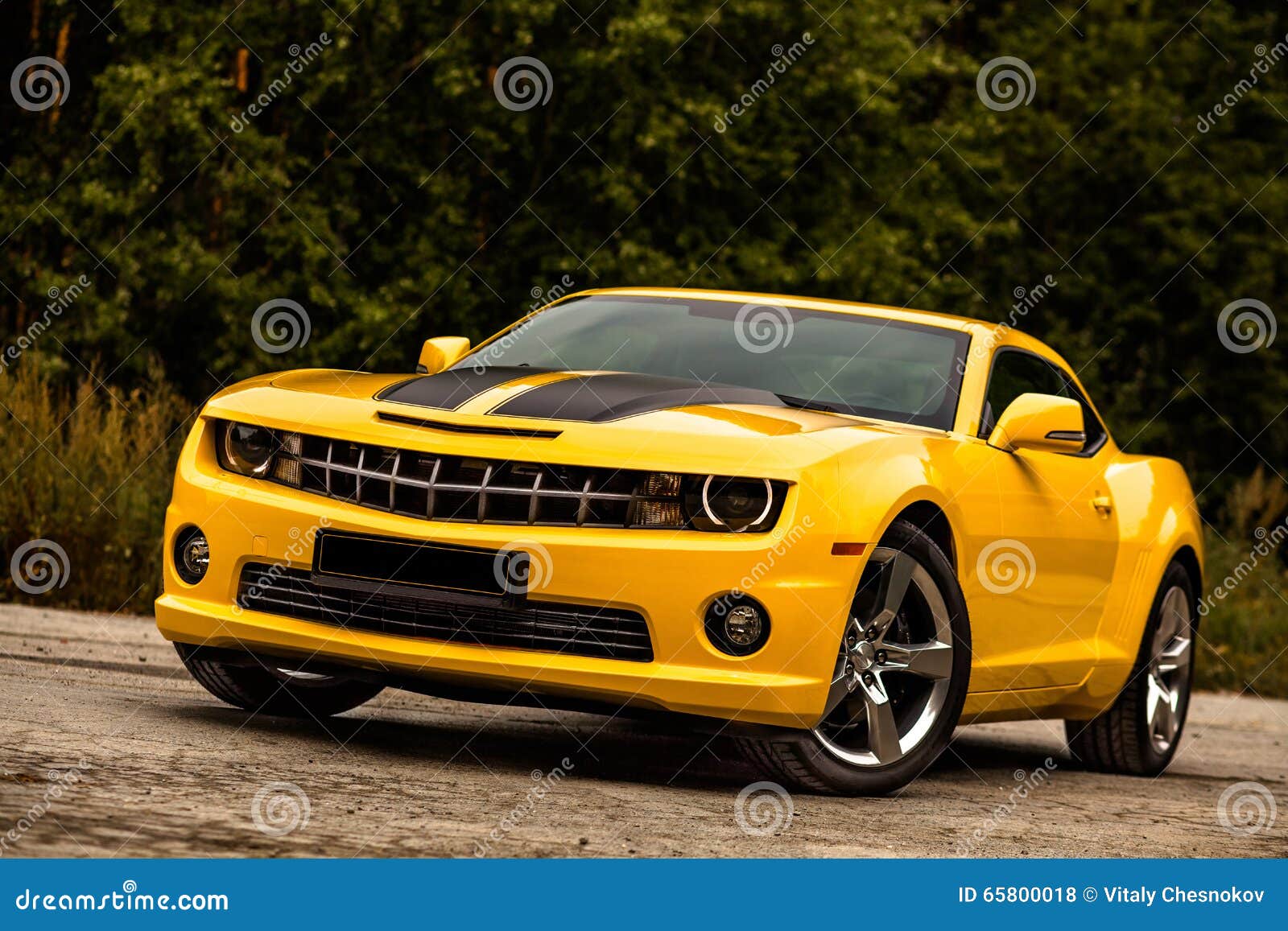 Coche musculoso. Bumblebee foto de archivo. Imagen de transporte - 65800018, image size:1600x1157