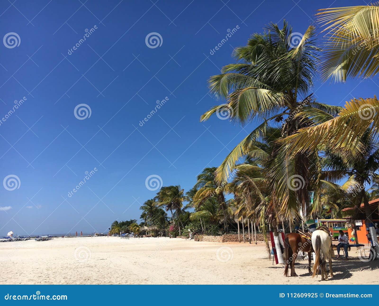 coche island of venezuela, summer time on tropical