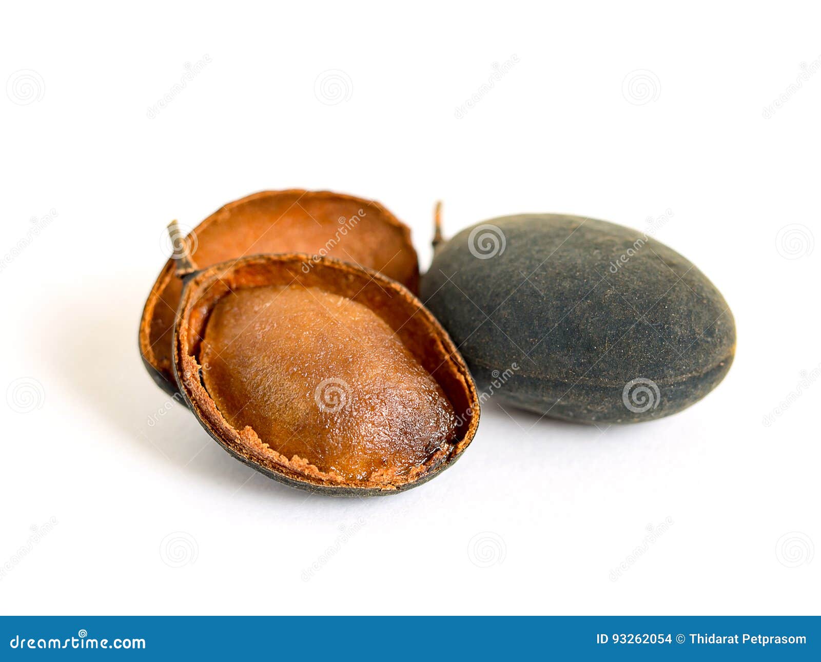 Cochinchinense De Dialium Ou Fruto Do Tamarindo De Veludo No Fundo Branco Foto De Stock Imagem De Maduro Leguminous Cochinchinense De Dialium Ou Fruto Do Tamarindo De Veludo No Fundo Branco Foto De Stock Imagem De Maduro Leguminous