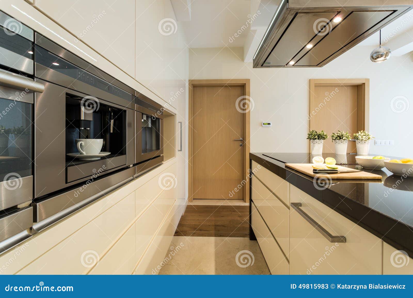 Cocina En Un Apartamento Moderno Imagen de archivo - Imagen de